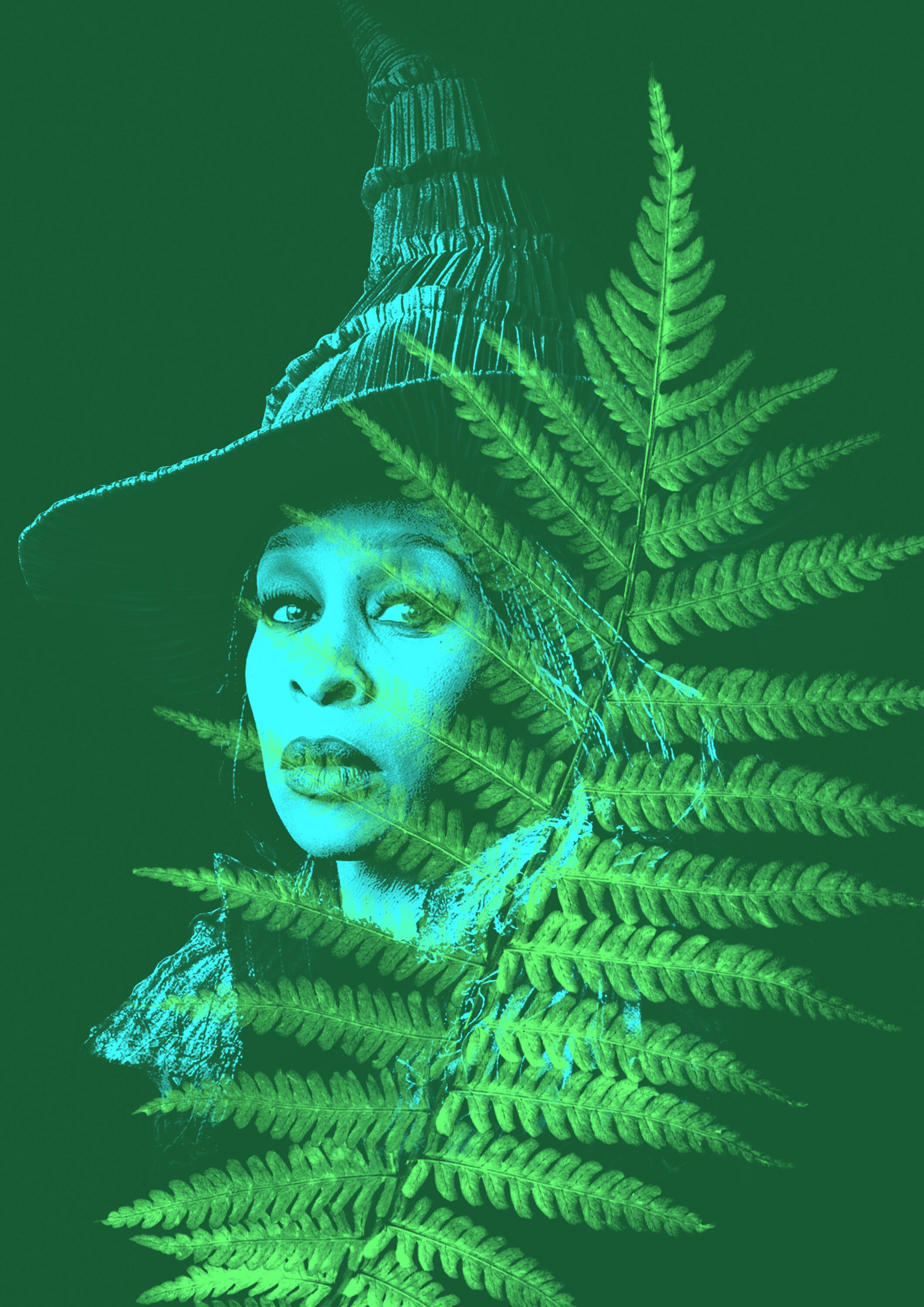 ANALOGUE - Seriously Playful™