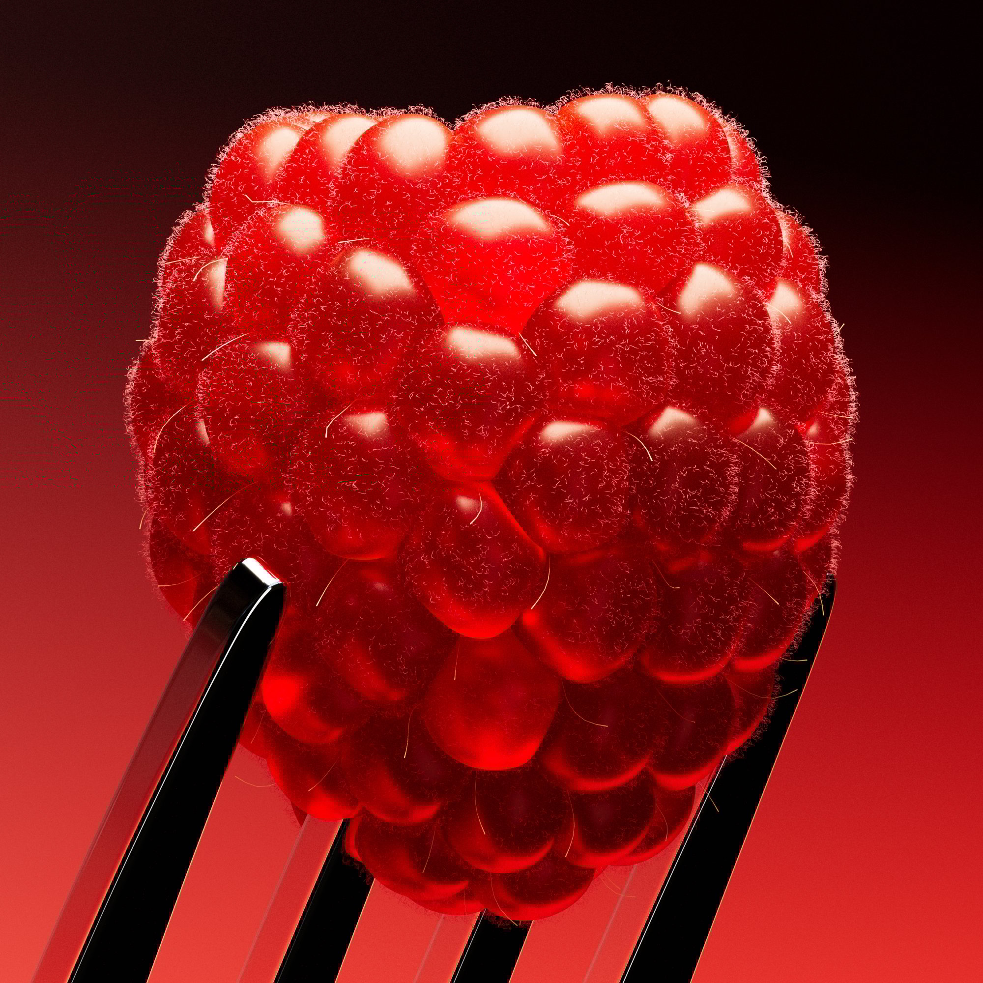 ANALOGUE - Seriously Playful™