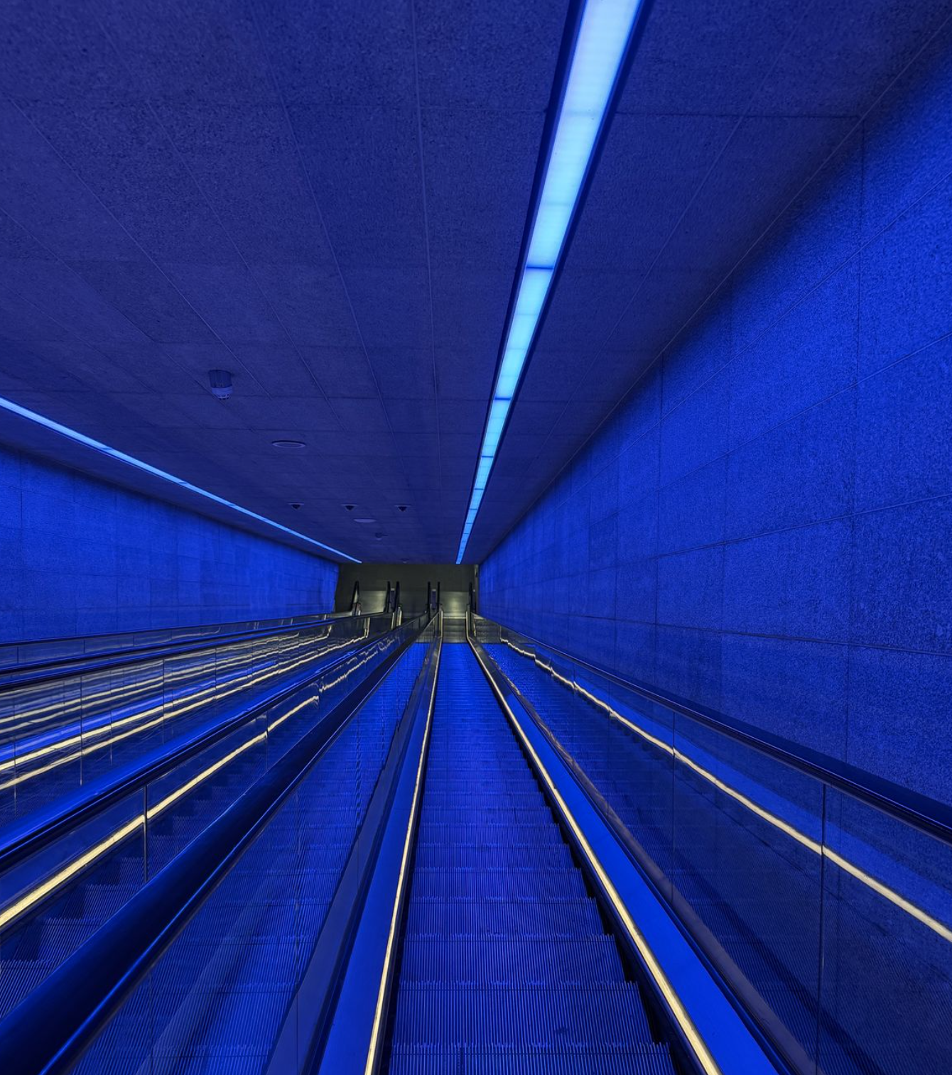 Electric Blue