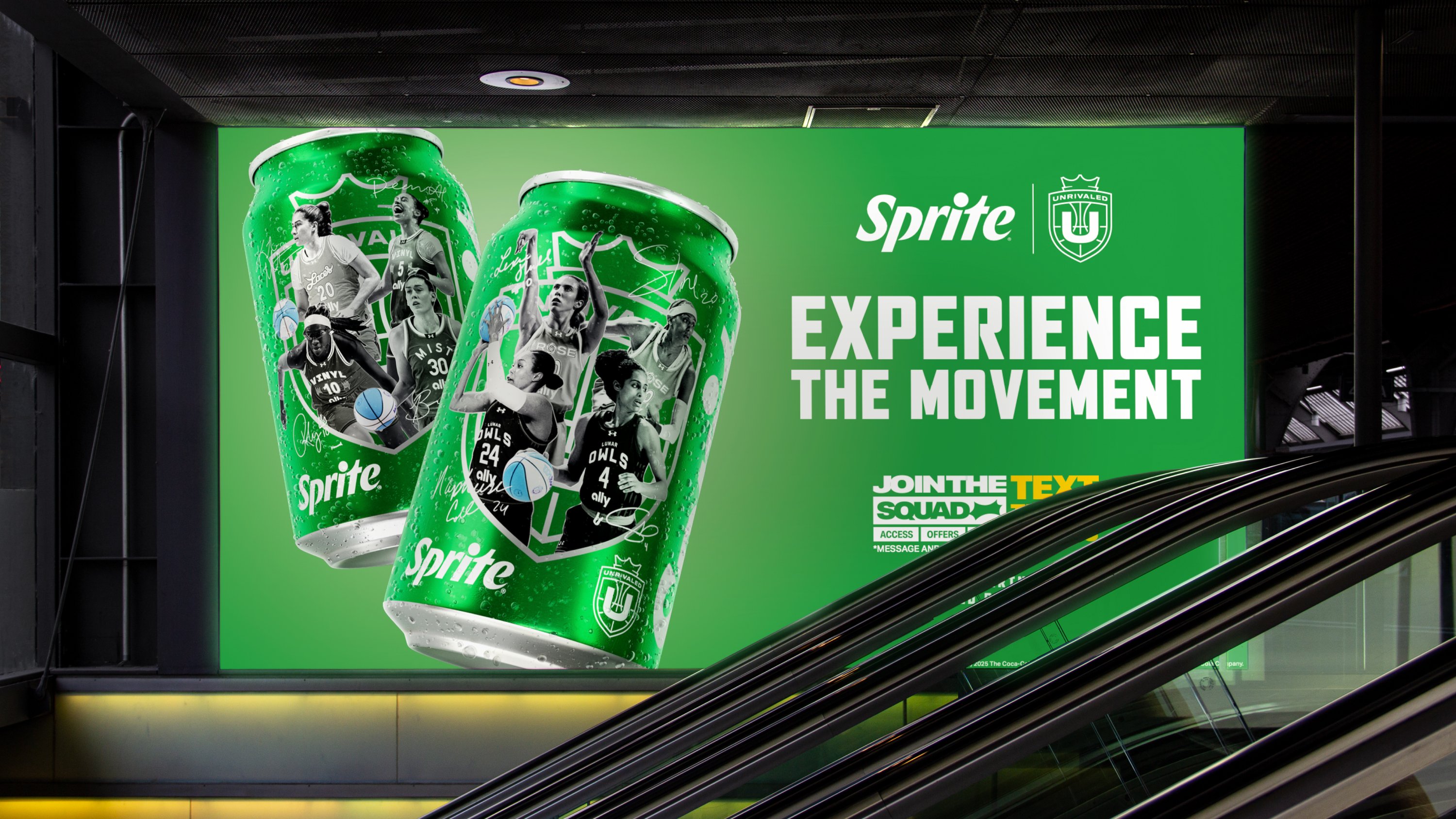 ANALOGUE - Seriously Playful™