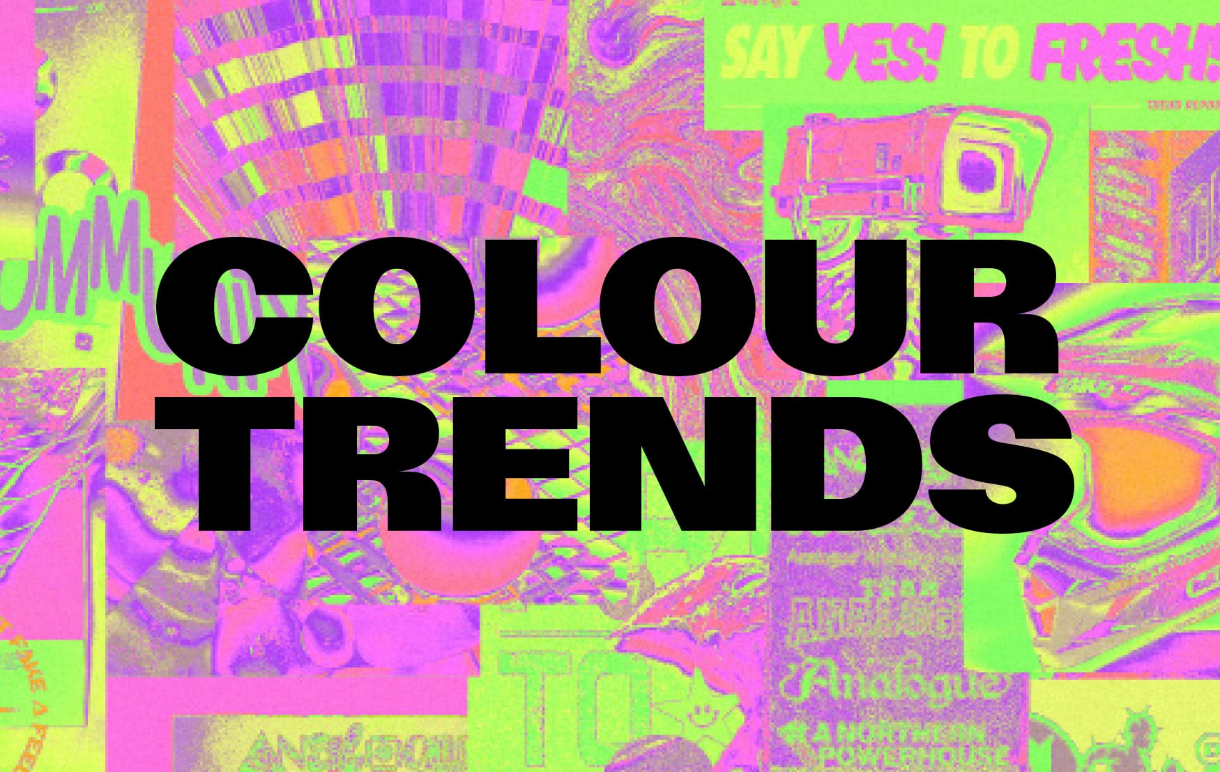 Colour Trends