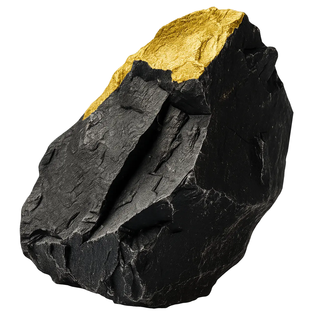 ANALOGUE - Seriously Playful™