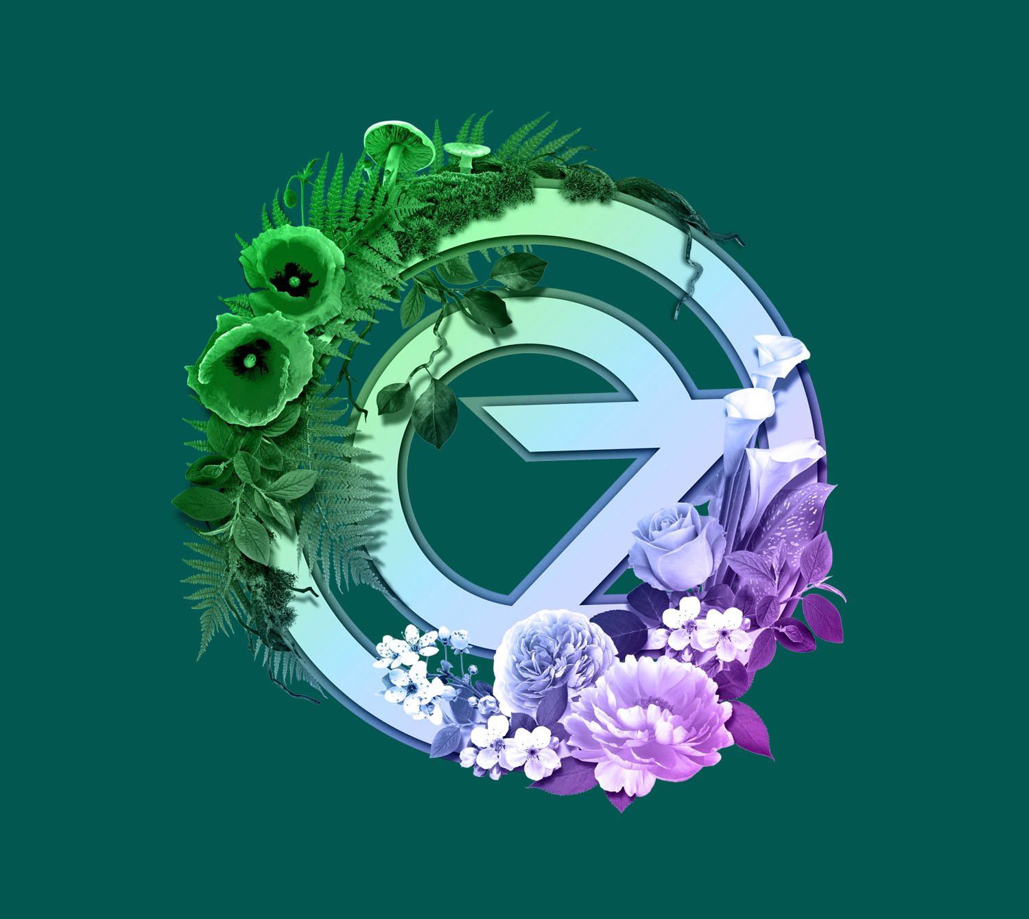 ANALOGUE - Seriously Playful™